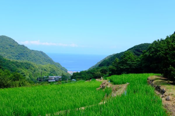 Izu area