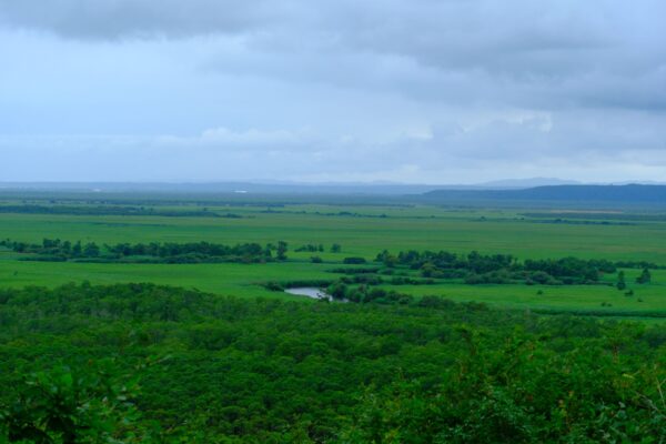 Kushiro: Home of Japan’s Largest Wetland and the Red-crowned Cranes