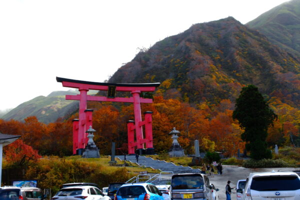 Dewa Sanzan：Three Sacred Mountains Where Life Is Reconsidered